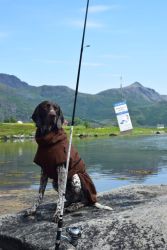 Produktinformation Norsan