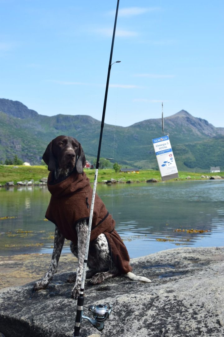 Produktinformation Norsan